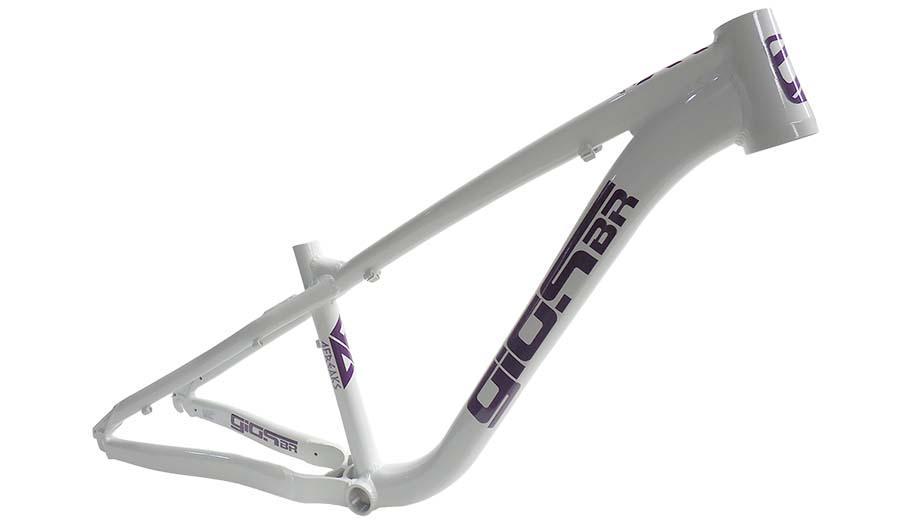 Quadro Giosbr 26 4FREAKS Branco Com Roxo