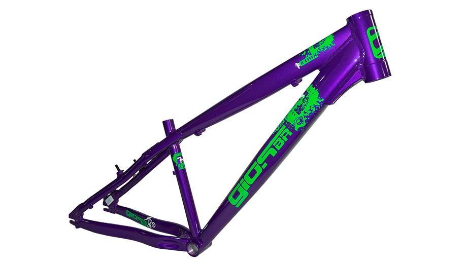 Quadro Giosbr 26 4TRIX Roxo Com Verde Neon