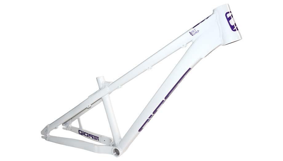 Quadro Giosbr 26 DJ Branco Com Roxo